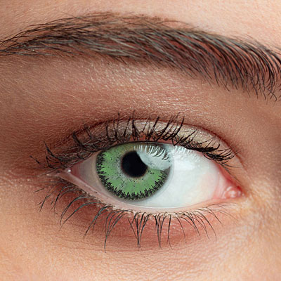 Warm Green